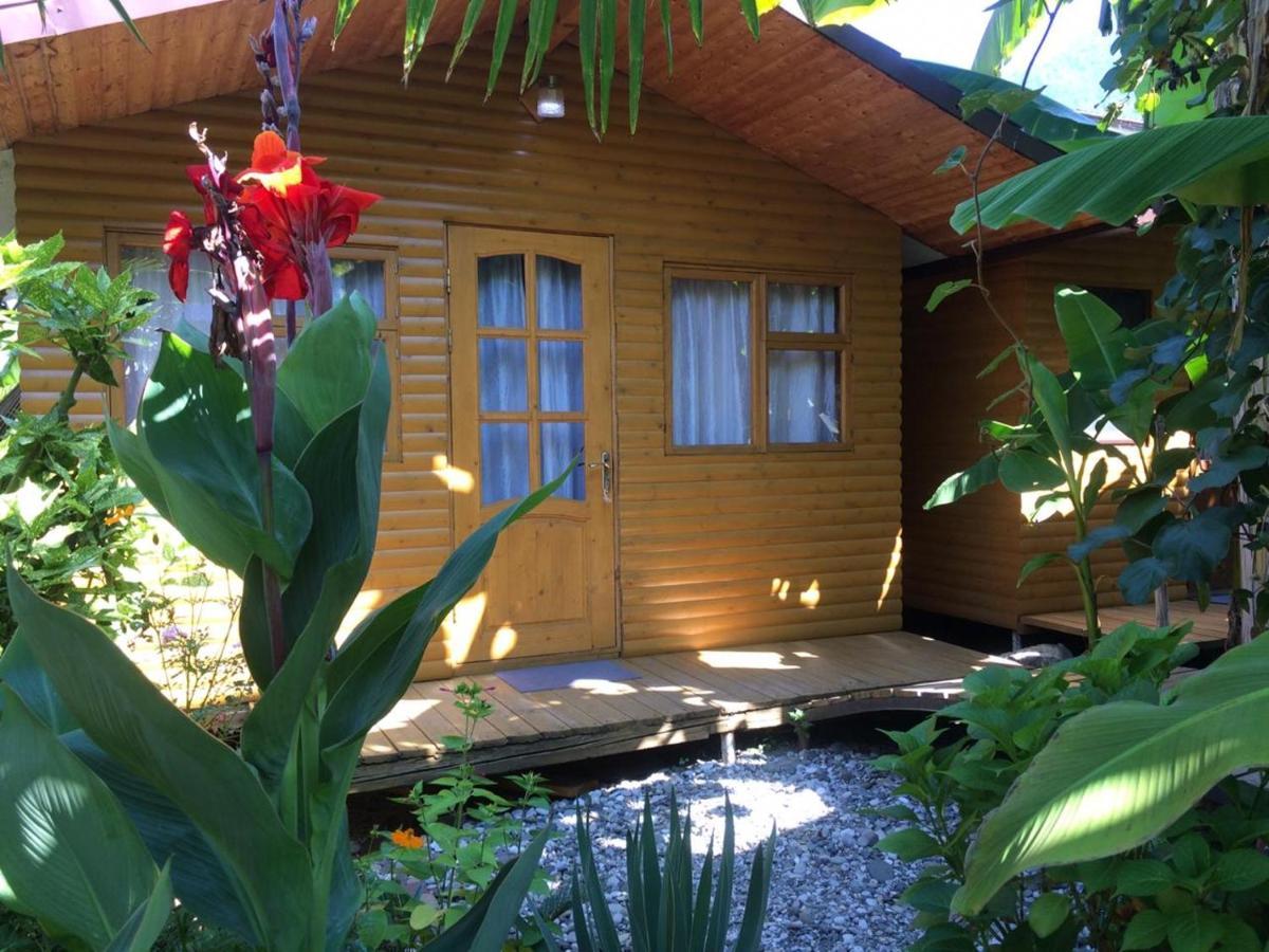 Гостевой Дом У Левы Hotel Gagra Exterior photo