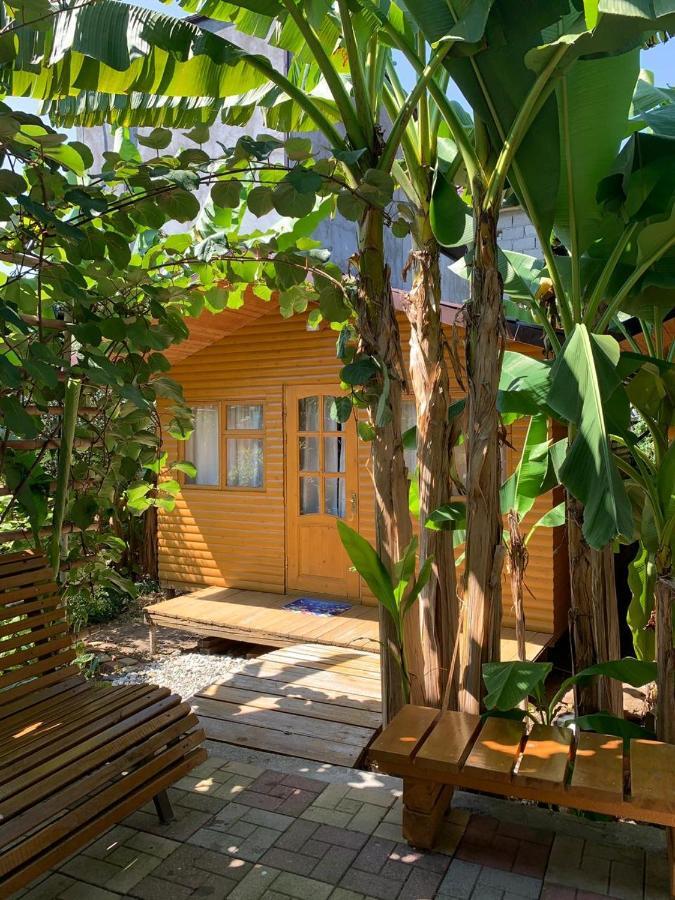 Гостевой Дом У Левы Hotel Gagra Exterior photo